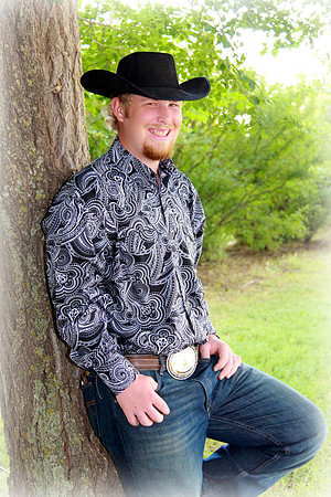 Cowboy and a Tree