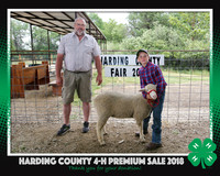Premium Sale 2018