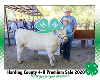 Premium Sale 2020