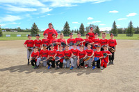 Midget Baseball 2022