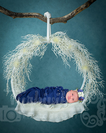 Newborn,Baby,Photography,Swing.,Background,For,Newborn,Baby.
