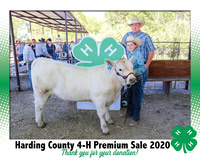 HC Fair 2020