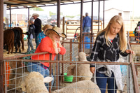 HC Fair 2019
