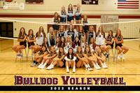Volleyball